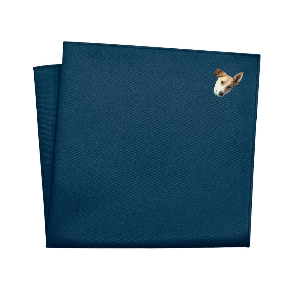 Solid 3 Photo Pocket Square