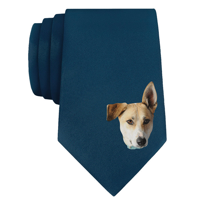 Solid 4 Photo Tie - Rolled - Knotty Tie Co.